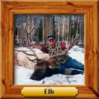 elk hunting photo galleries