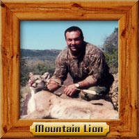 Mountain Lion hunting photo galleries