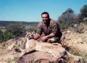 mountain lion hunts - Tomahawk Outfitters