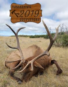 elk-2019-009