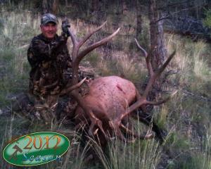 elk-archery-00-009