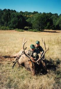 elk-archery-00-022