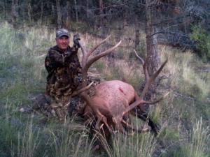 elk-archery-00-024