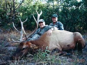 elk-archery-00-029