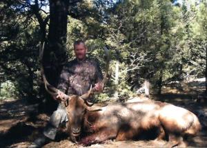 elk-archery-00-032