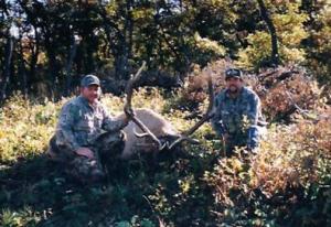 elk-archery-00-033