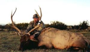 elk-archery-00-036