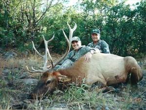 elk-archery-00-044