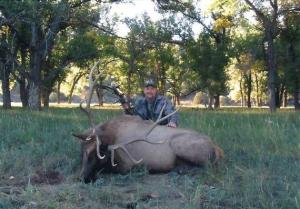 elk-archery-00-051