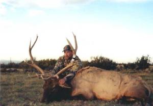 elk-archery-00-053