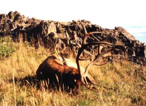 elk-archery-00-060