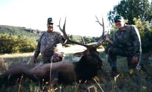 elk-archery-00-061