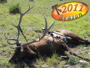 elk-archery-2011-004