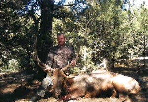 elk-archery028