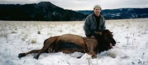 elk-cow012