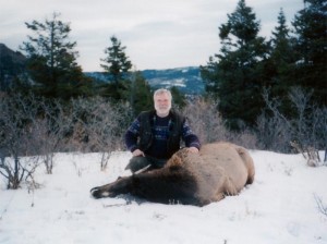 elk-cow016