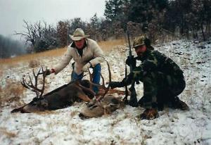 mule-deer-00-093