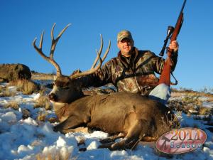 mule-deer-2011-001