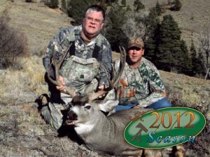 mule-deer-2012-006