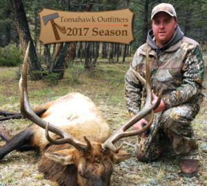 tomahawk-2017-elk-bull-002f