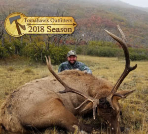 tomahawk-elk-bull-2018-011